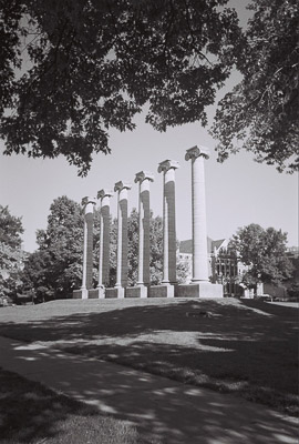 columns_351